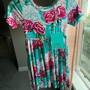Posh peanut dress. 2T.